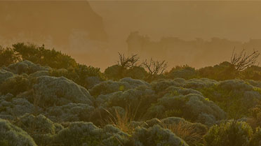 Australian natural landscape shot