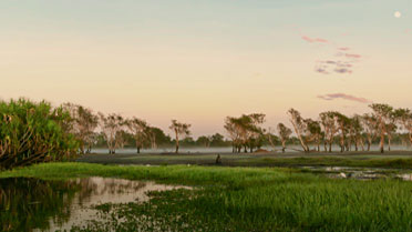 Kakadu Landscape shot