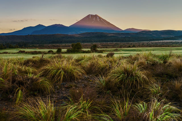 New Zealand natural landscape shot