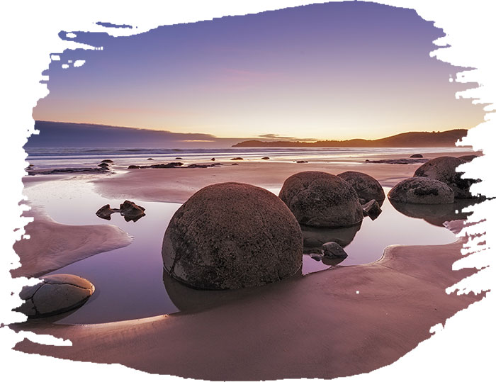 Maori jade jewelry on tree stump
