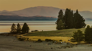 New Zealand mountain landscape